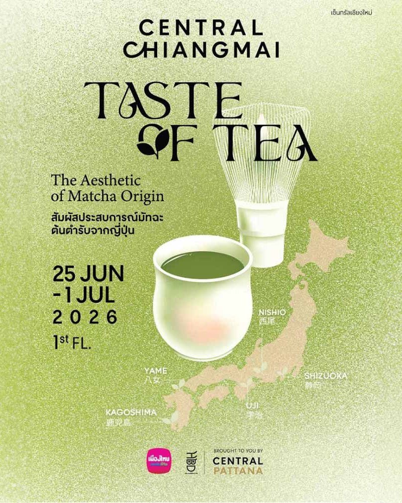 Taste of Tea : Chiangmai Zipevent
