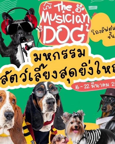 THE MUSICIAN DOG Zipevent