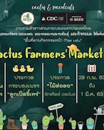 Cactus Farmers Market #7 Zipevent