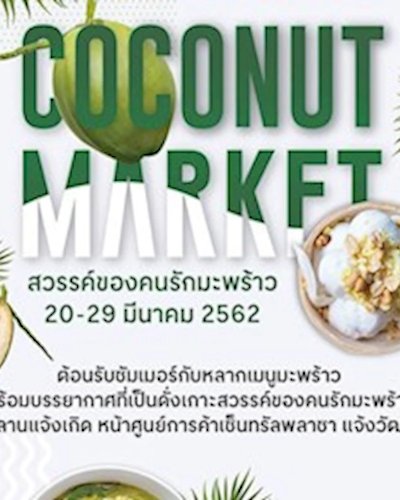 Coconut Market สวรรค์ของคนรักมะพร้าว Zipevent