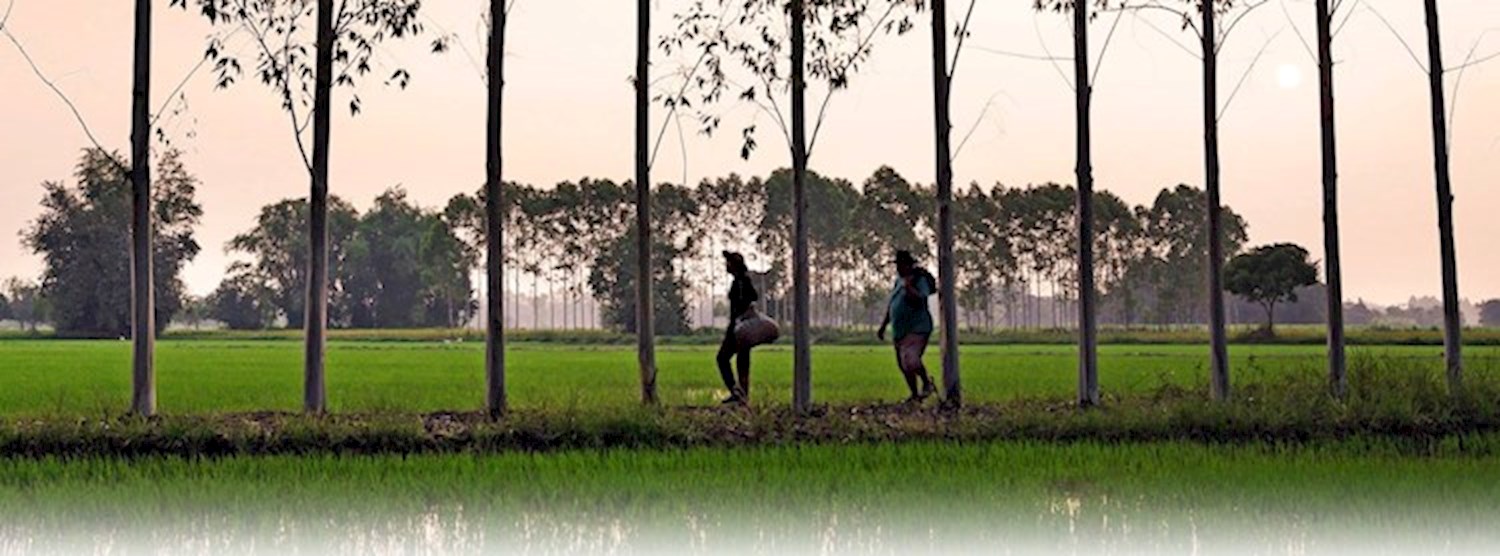 (ยกเลิก/Canceled) Can Trees be Harvested Sustainably? Zipevent