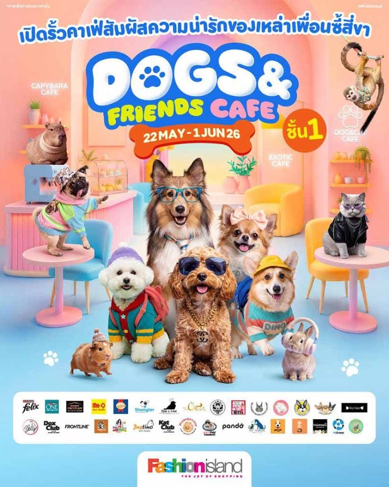 DOGS & FRIENDS CAFE Zipevent