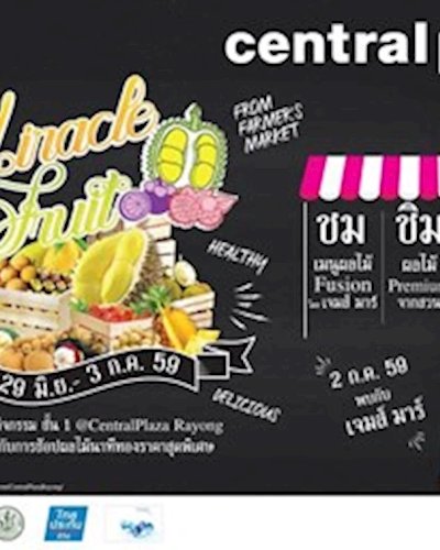 Miracle Fruit Zipevent