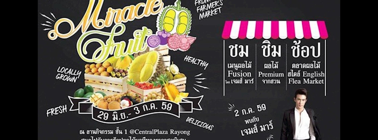 Miracle Fruit Zipevent