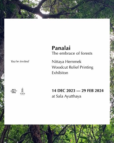 ‘Panalai’ The embrace of forests อ้อมกอดแห่งพนาลัย Zipevent