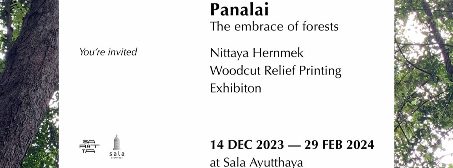 ‘Panalai’ The embrace of forests อ้อมกอดแห่งพนาลัย Zipevent