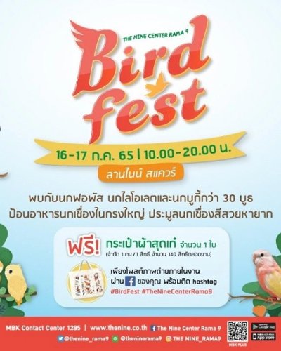 Birdfest Zipevent