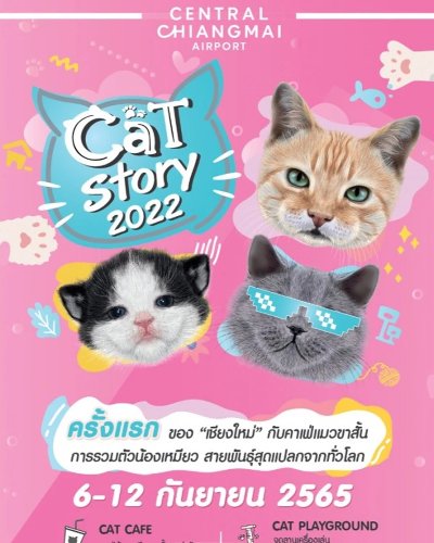 Cat Story 2022 Zipevent