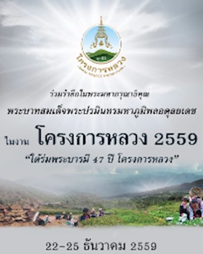 โครงการหลวง 2559 Zipevent