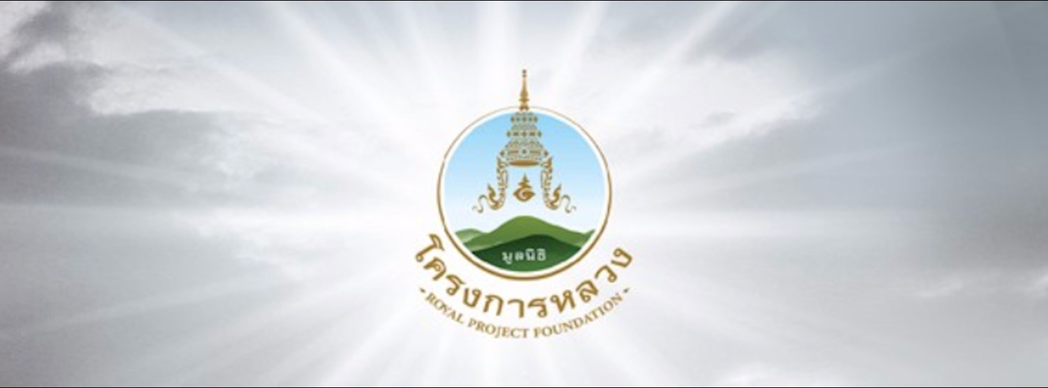 โครงการหลวง 2559 Zipevent