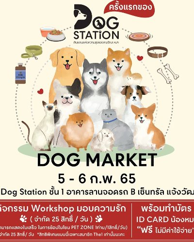 DOG MARKET Zipevent