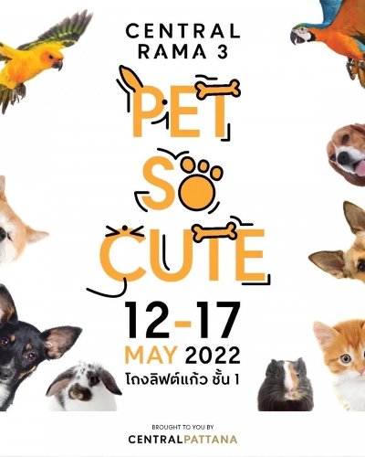 PET SO CUTE Zipevent