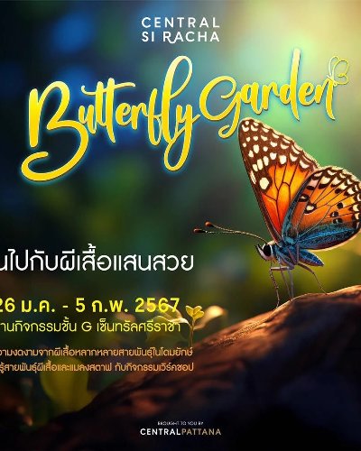 Butterfly Garden Zipevent