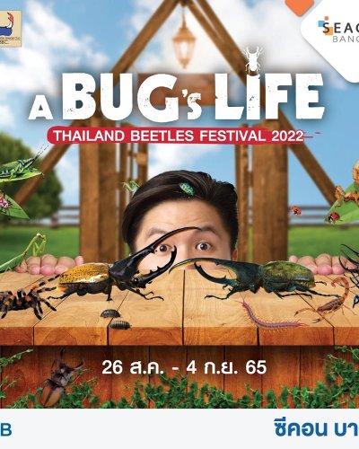 A Bug's life Zipevent