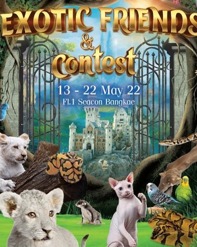 EXOTIC FRIENDS & contest Zipevent