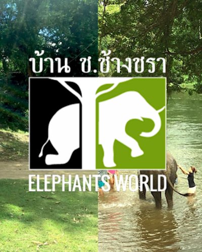 บ้าน ช.ช้างชรา Zipevent