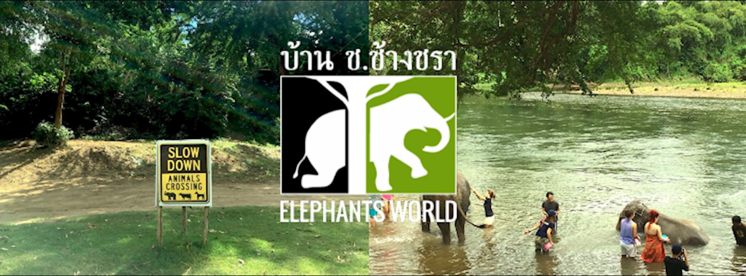 บ้าน ช.ช้างชรา Zipevent