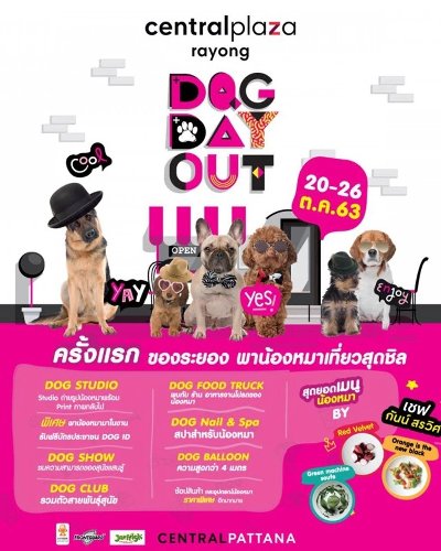 Dog Day Out Zipevent