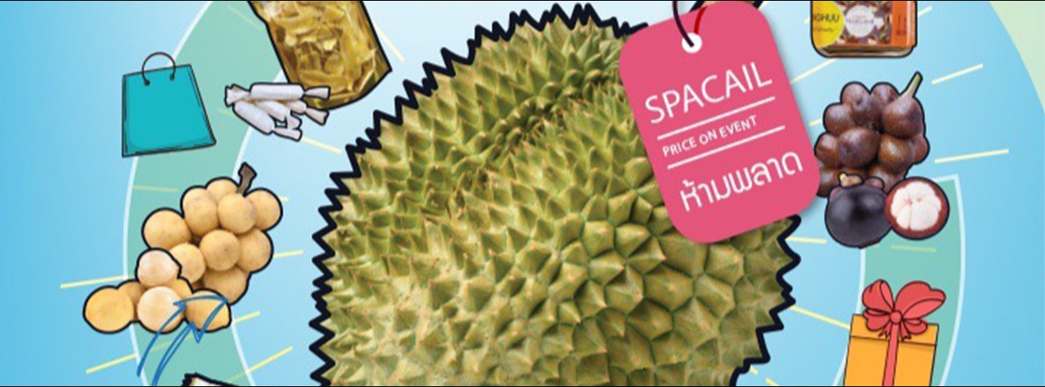 The Large South Zipevent