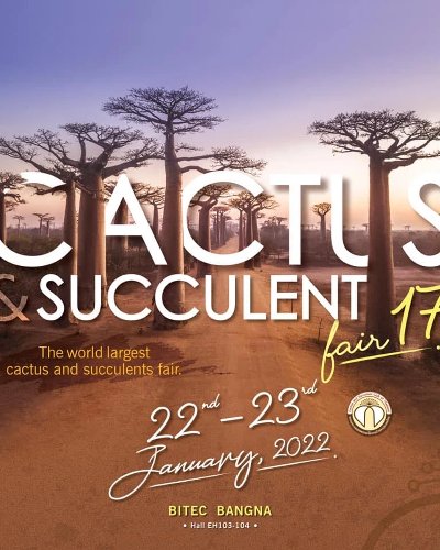 Cactus & Succulent Fair 17th Zipevent