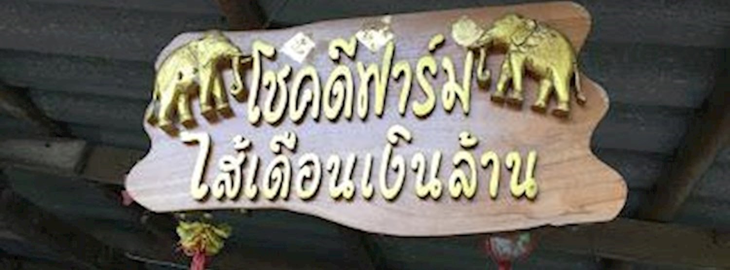 Earthworms: the Agriculturalists' Best Friends Zipevent