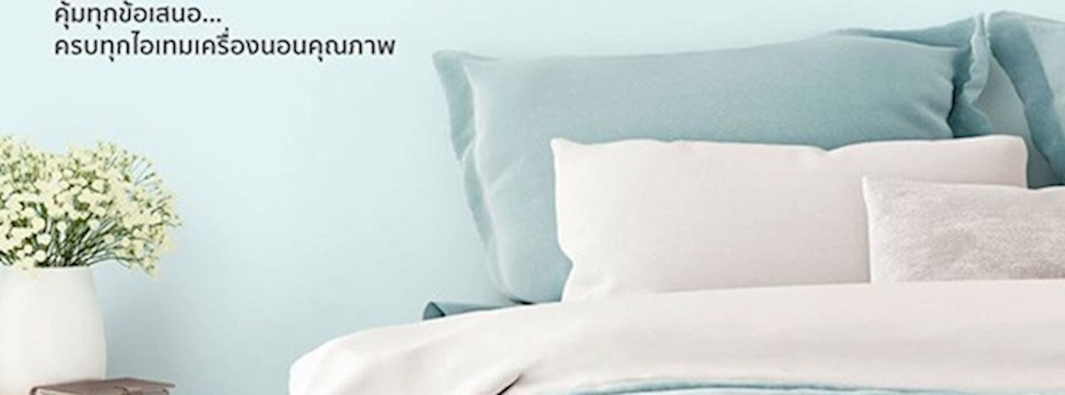 Central Bed & Rest Fair Zipevent