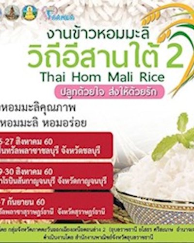 งานข้าวหอมมะลิ วิถีอีสานใต้ 2 @ชลบุรี Zipevent