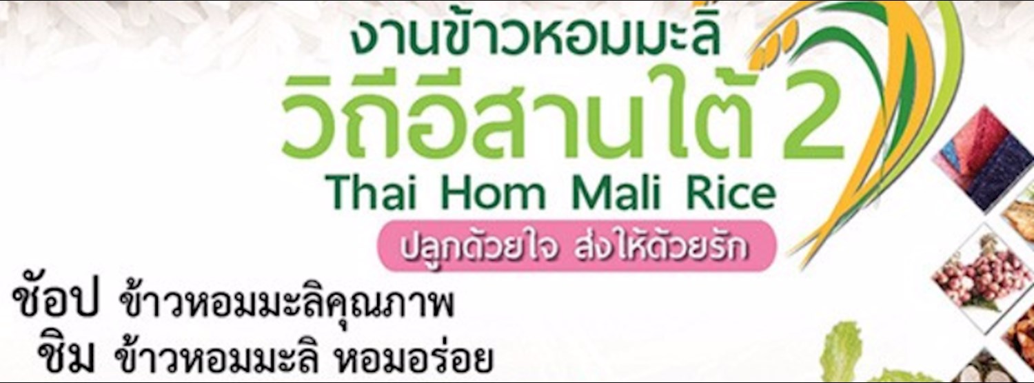 งานข้าวหอมมะลิ วิถีอีสานใต้ 2 @ชลบุรี Zipevent