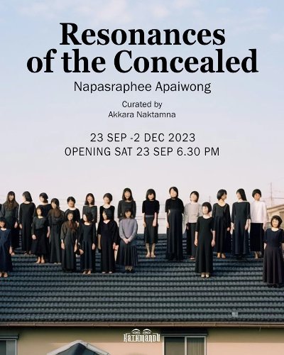 Resonances of the Concealed Zipevent