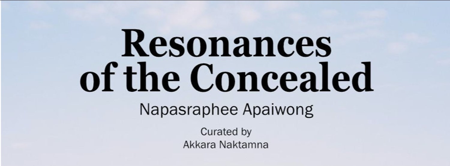 Resonances of the Concealed Zipevent