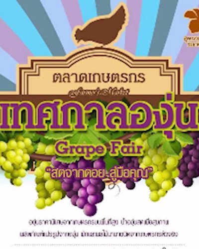 เทศกาลองุ่น (Grape Fair) สดจากดอย สู่มือคุณ Zipevent