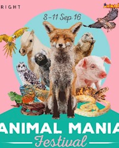 The Bright Present : Animal Mania Festival 2016 Zipevent