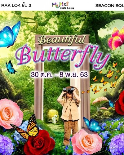 Beautiful Butterfly Zipevent