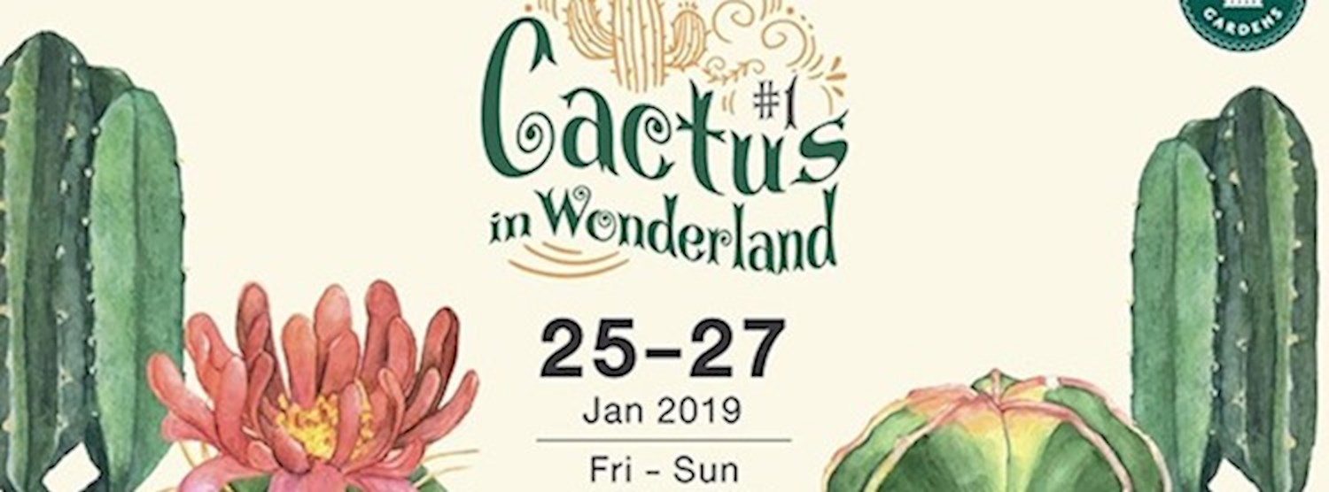 Cactus In Wonderland Zipevent