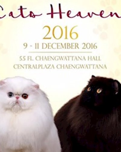 Cats Heaven 2016 Zipevent
