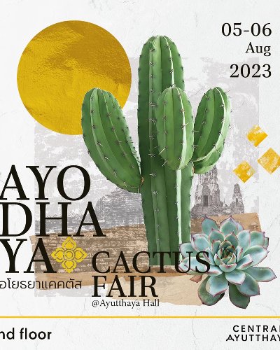 Ayodhaya Cactus Fair Zipevent
