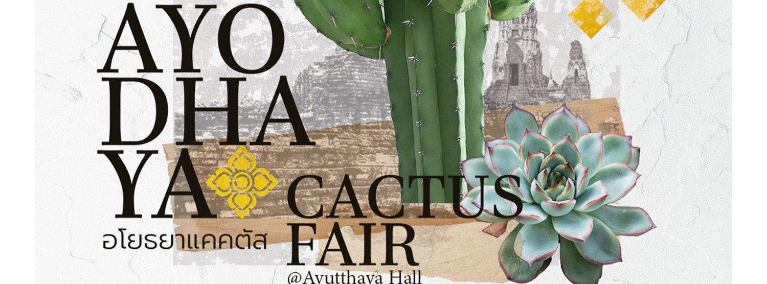 Ayodhaya Cactus Fair Zipevent