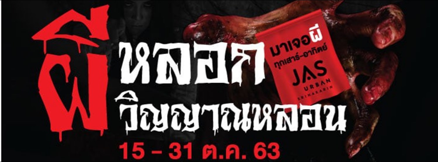 ผีหลอก วิญญาณหลอน Zipevent