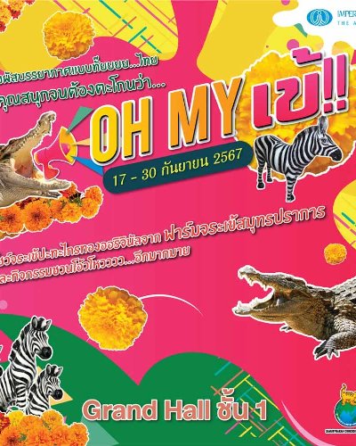 OH MY เข้ Zipevent
