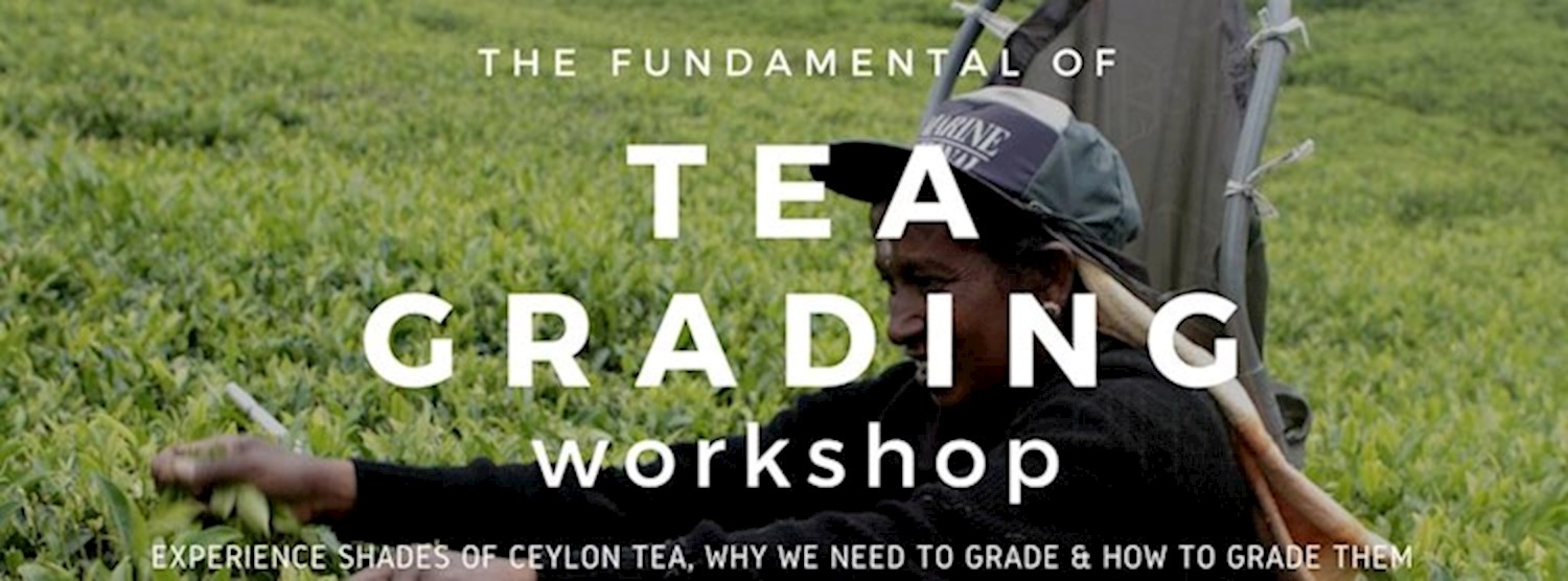 Tea Grading Workshop by SNSS x CHOTiCHA Zipevent