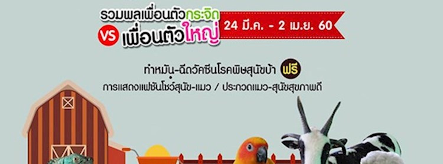 A Littile Farm Zipevent