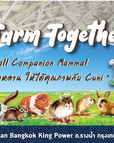 CuniFarm, Small Companion Mammal สร้างลูกออกหลาน ให้ได้คุณภาพ Zipevent