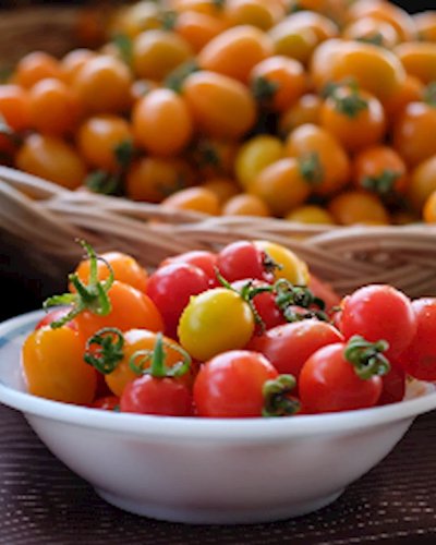 Bangkok Farmers Market at Habito May 6th - 7th Zipevent