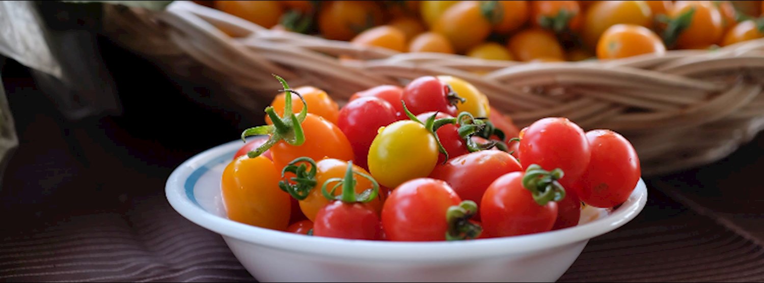 Bangkok Farmers Market at Habito May 6th - 7th Zipevent