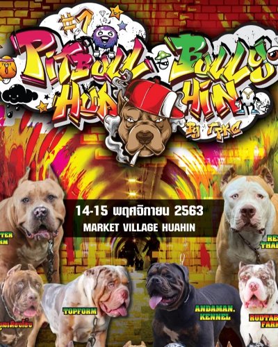 Hua Hin Pitbull & Bully meeting 2020 Zipevent