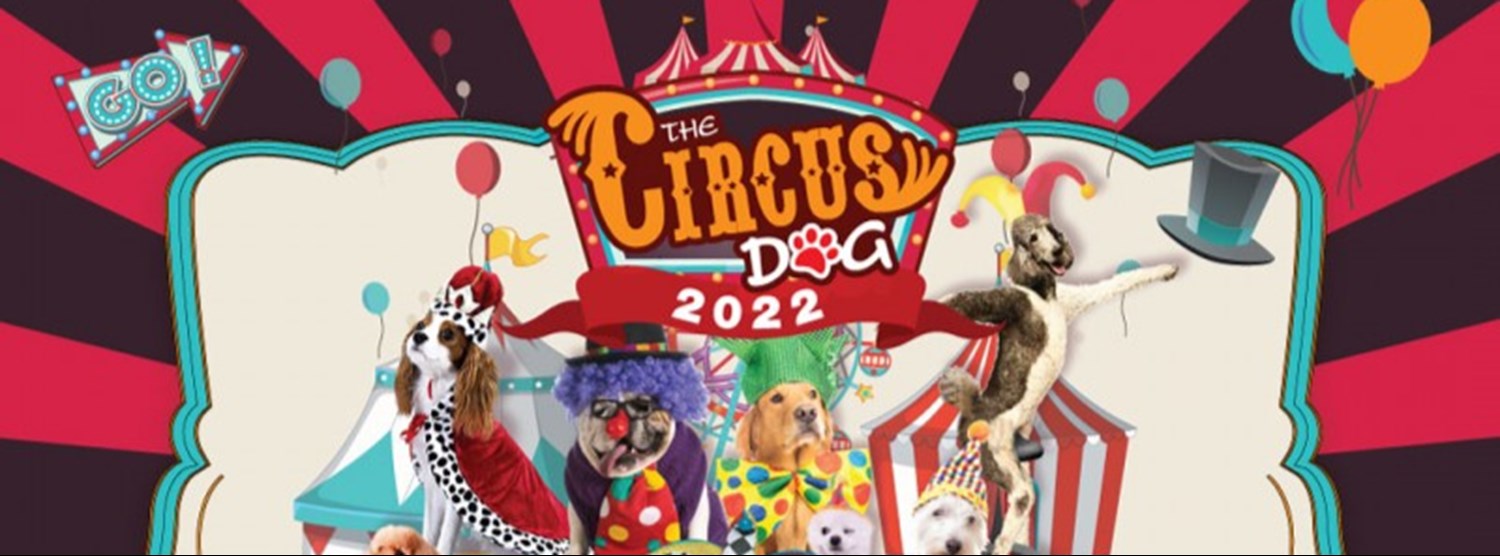 The Circus Dog Zipevent