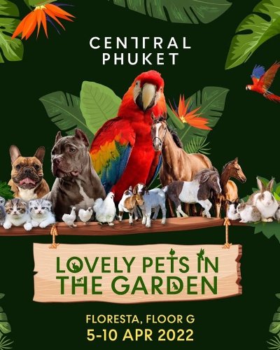 LOVELY PETS IN THE GARDEN Zipevent
