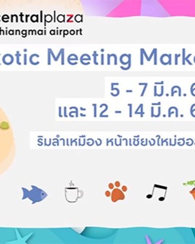 Exotic Meeting Market Ep.1 Zipevent
