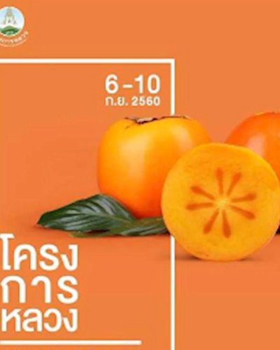 โครงการหลวง Zipevent