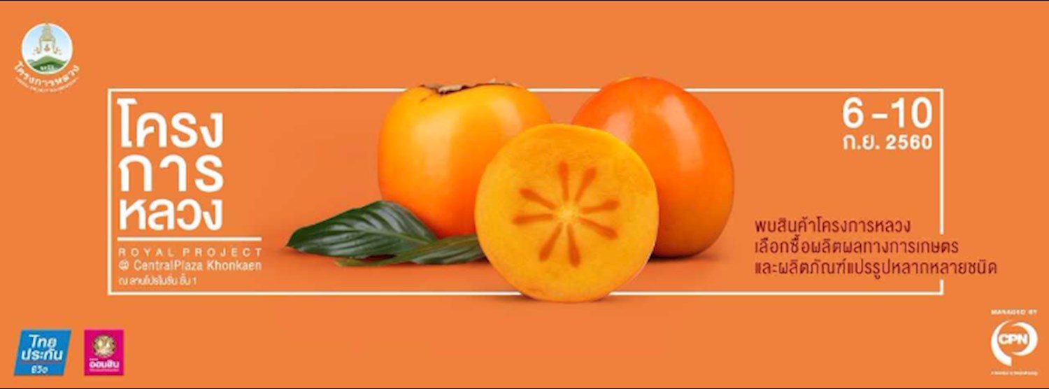 โครงการหลวง Zipevent